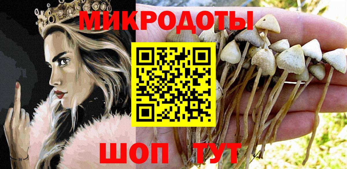 Галлюциногенные грибы мицелий Омск